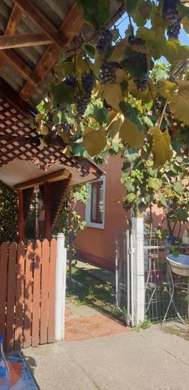 Casa de vanzare sau schimb cu apartament in Bucuresti - 13
