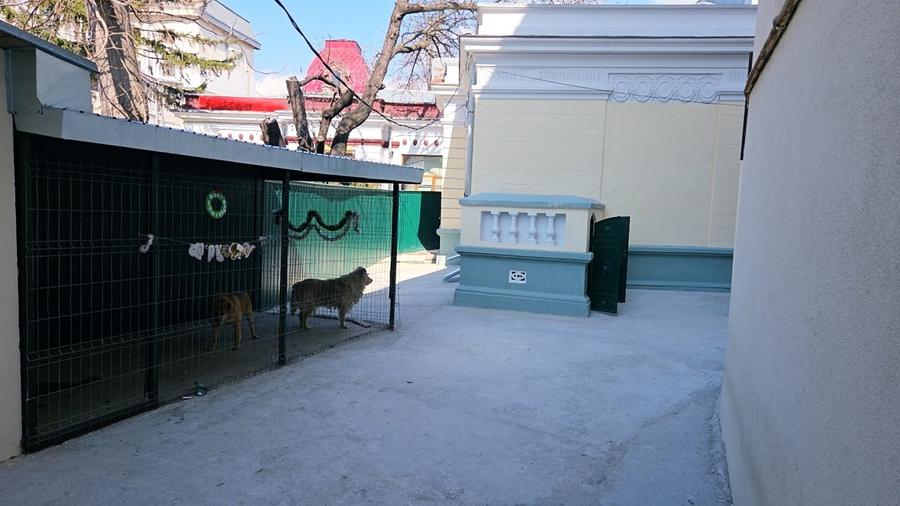 Casă istorică în inima Galațiului - 10