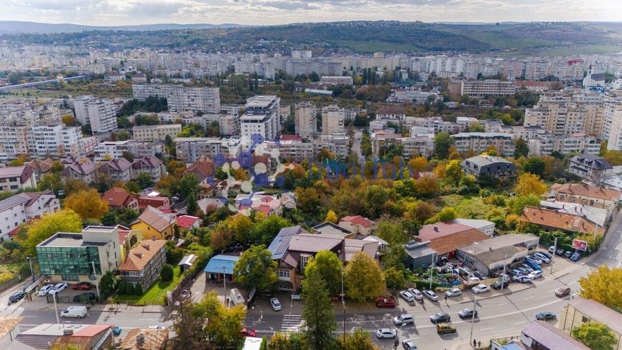 Spatiu modern si versatil de inchiriat Iin Pacurari (zona AMRS) - 8