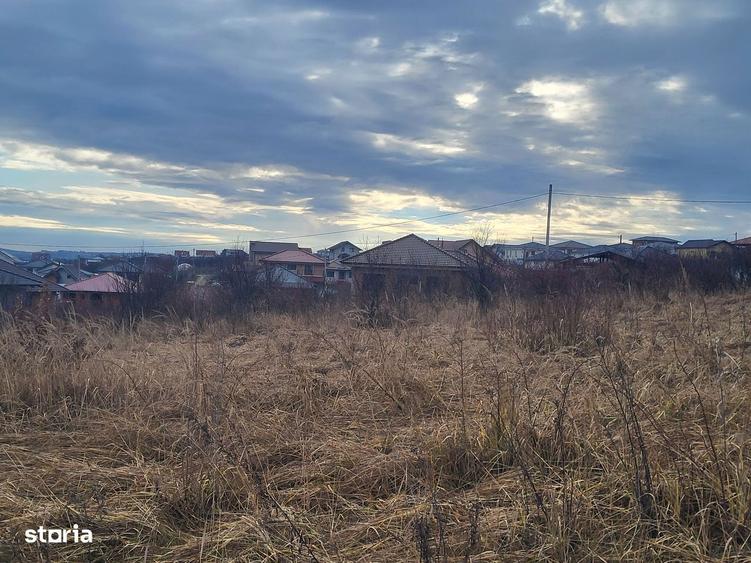 2380 mp teren in Paleu, strada Teiului - 2