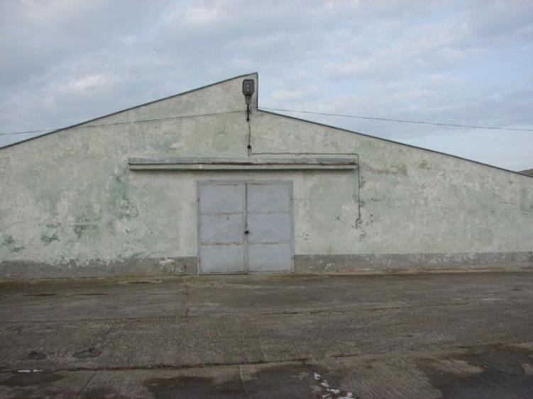 Hala pt depozitare 600 si 1200mp in Remetea Mare! Acces TIR - la sosea - 7