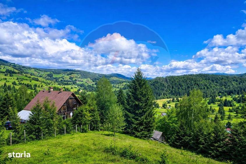 Oaza de liniste in inima Apusenilor teren 6.500 mp Arieseni - 5