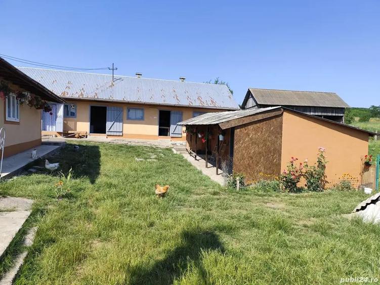 Casa batraneasca - 9