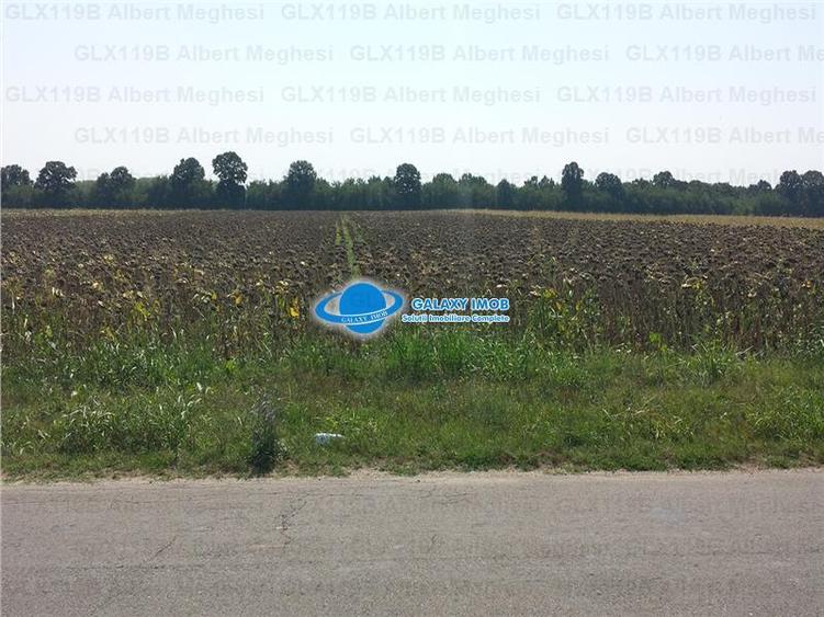 Vanzare Teren Intravilan  Herasti Giurgiu 2 HA - 4
