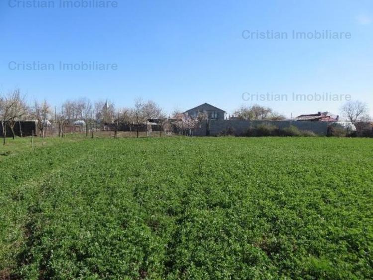 Teren constructii zona Lacu Sarat,  suprafata 3393 mp, 22 euro mp - 3