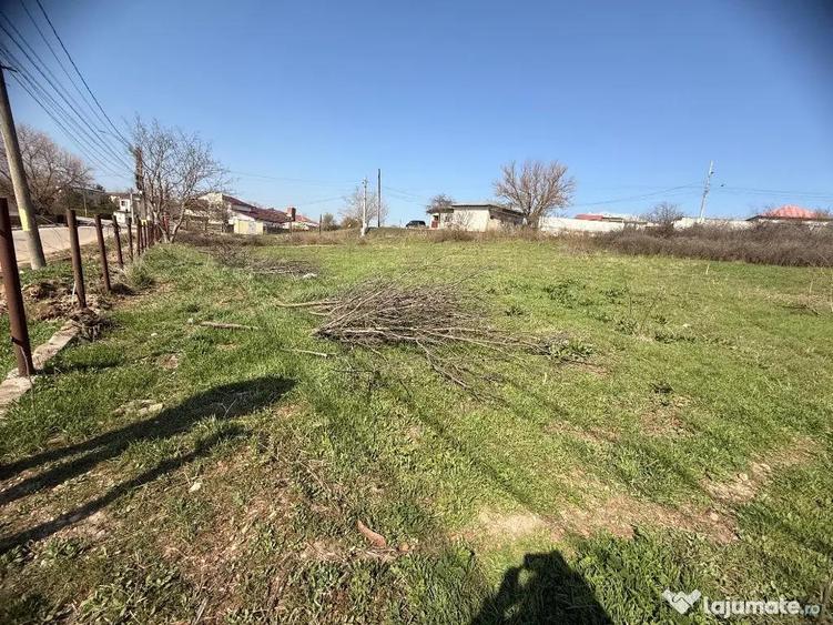 Teren Roata de jos Giurgiu 3000 mp - 5