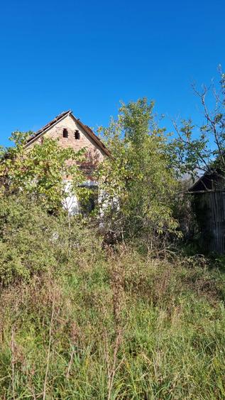 Vand salas in comuna Sichevita - 7