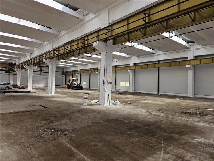 Spatiu Industrial -  6500 mp - Productie - Depozitare - 1