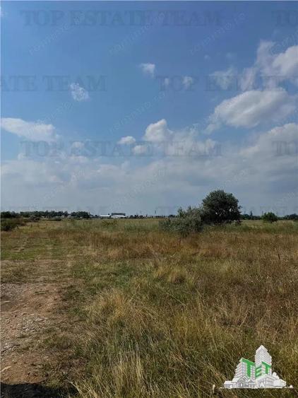 Teren industrial 8000 mp DN1B Zona showroom-uri auto Deschidere 35 m - 4