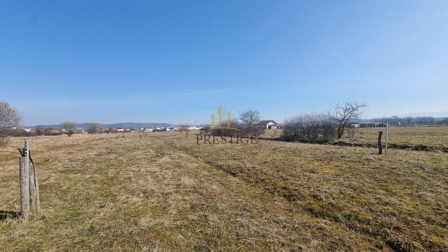 FĂRĂ COMISION | TEREN 1000 MP ȘELIMBĂR ZONA TROIȚĂ | INVESTIȚIE - 3