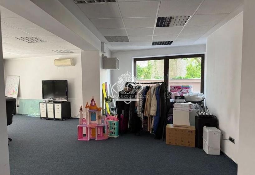 Cismigiu-Victoriei I Spatiu de Birouri I Complex Rezidential - 4