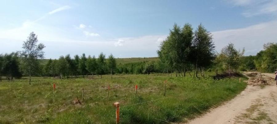 Vand teren pentru constructie casa in zona Casele Micesti - 9