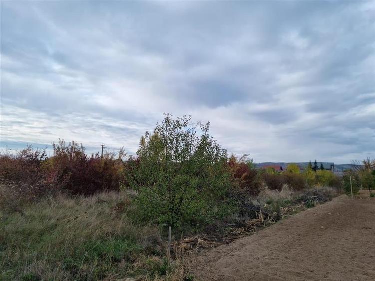 RECO teren intravilan 705 mp Osorhei - 3