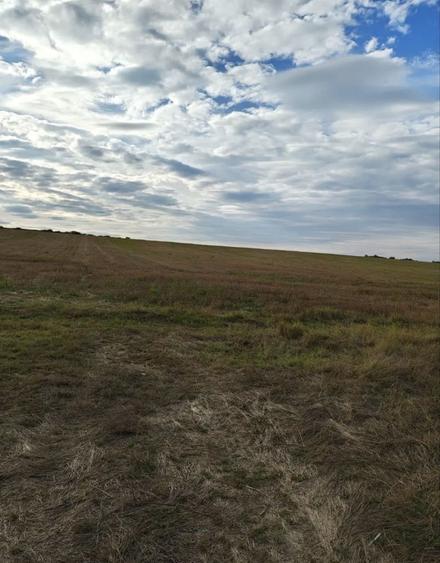 Vand teren agricol la padure, langa Cetatuia! - 3