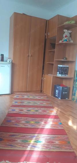 Casa cu curte mare ?i vie pe spalieri - 7