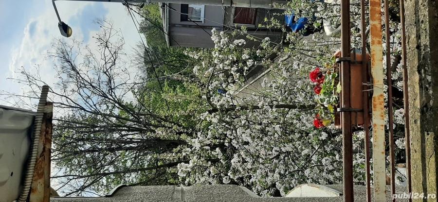 Casă cu 5 camere în Central