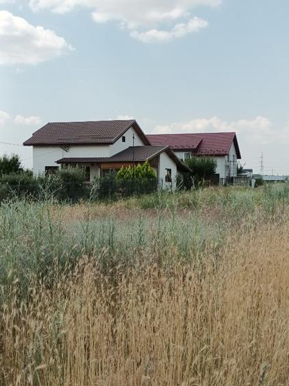 Vand teren intravilan în Rosiori de Vede - 5