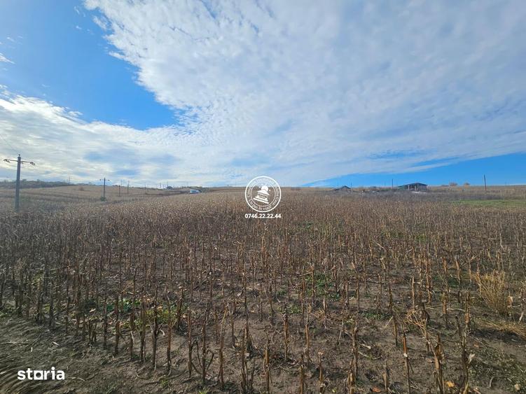 Teren de Vanzare Valea Lupului - 3