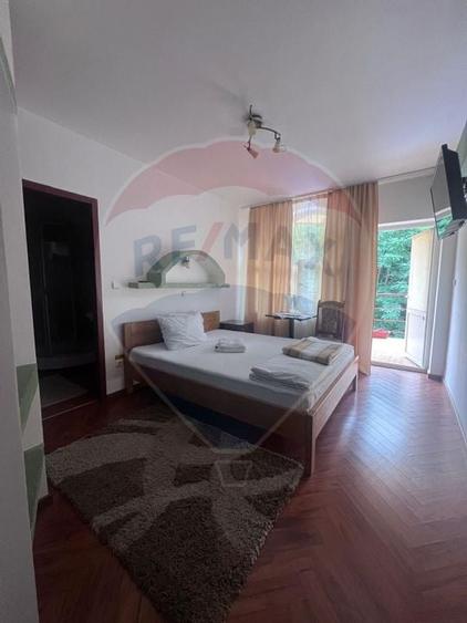 DE VANZARE Pensiune cu piscina, pastravarie, zona spa locatie de vis - 16
