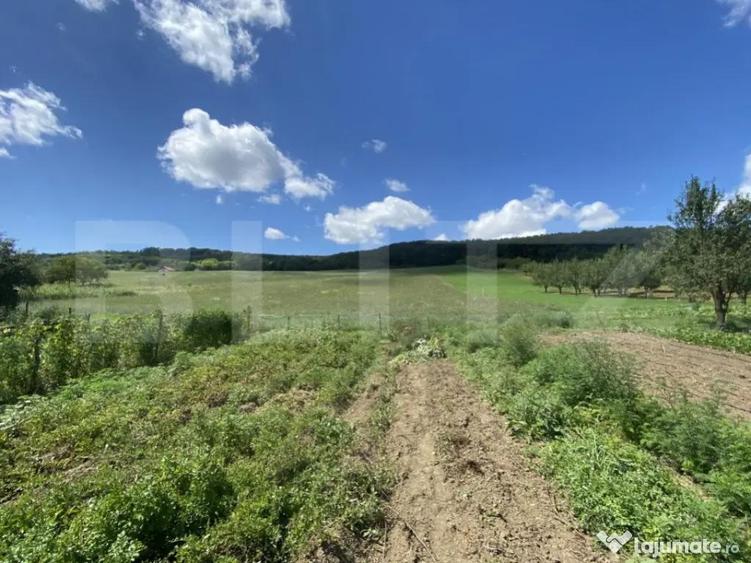 Teren intravilan in suparafat de 19213 mp, zona Valea Mitii - 5