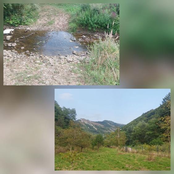 Vand teren intravilan Sat Voia Com. Balsa 7000mp - 3