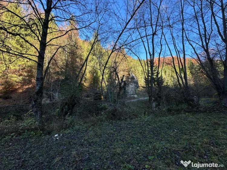 Teren 2.882 mp oportunitate investitie - Cheile Dambovi - 10