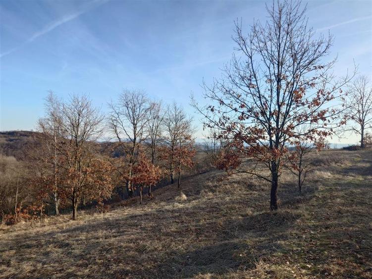 Teren extravilan de 2599 mp, în Vălișoara