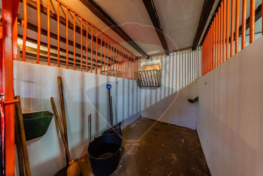 Ferma de cai andaluzi de vanzare - Zadareni - 15