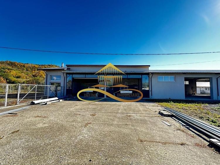 Hala de inchiriat 250 mp si spatiu ideal service AUTO Buhoci Bacau - 9