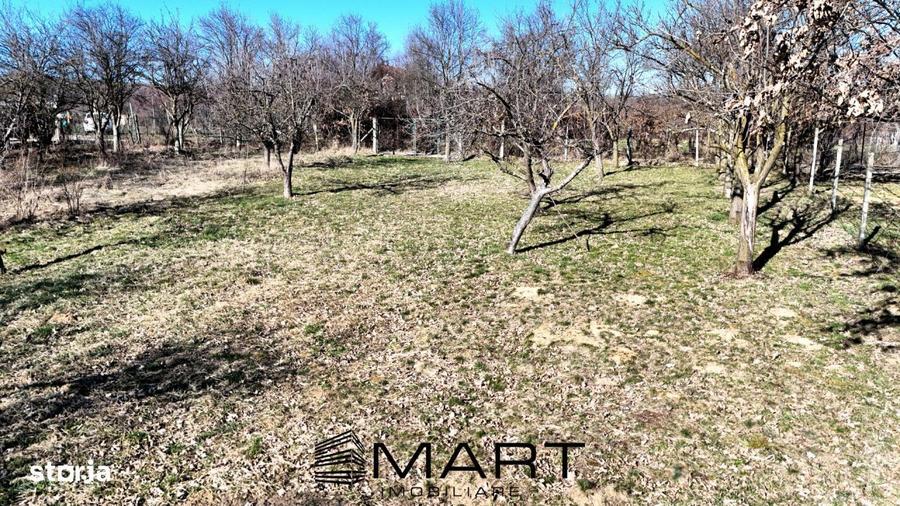 Teren intravilan 1000mp Padurea Dumbrava - 4