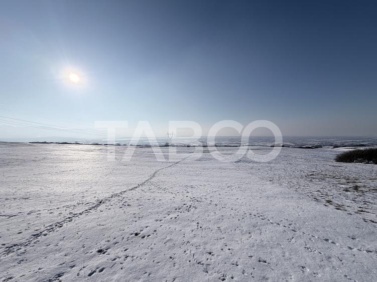 Teren cu PUZ aprobat pentru 64 de case S+P+1E+M/R - 2