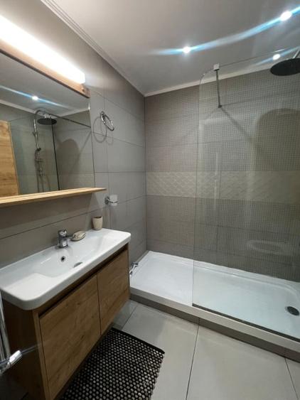 Apartament Victoriei -  Banu Manta - 8