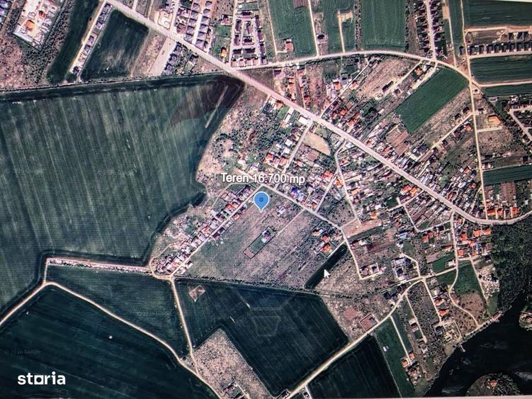 Teren Balotesti Dumbraveni 16.700 mp /8350 mp /loturi 500 mp - 7