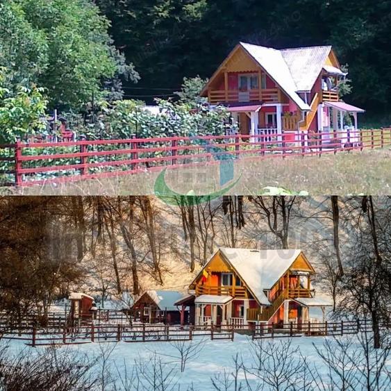 Casuta din Povesti, Baita, 1332 mp teren intravilan, la liziera padurii - 12