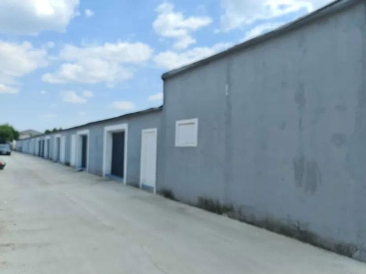 Hale oportunitate randament maxim Pantelimon - 4