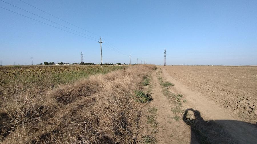 Teren pentru Parc Logistic, hale - Ovidiu - 2