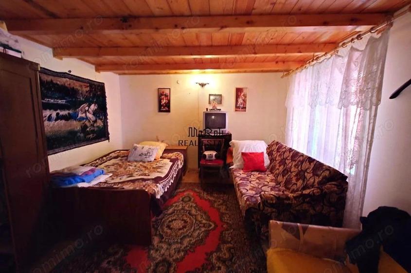 Cabana, anexe si 2000 mp teren intravilan in Taratel, Brad - 7