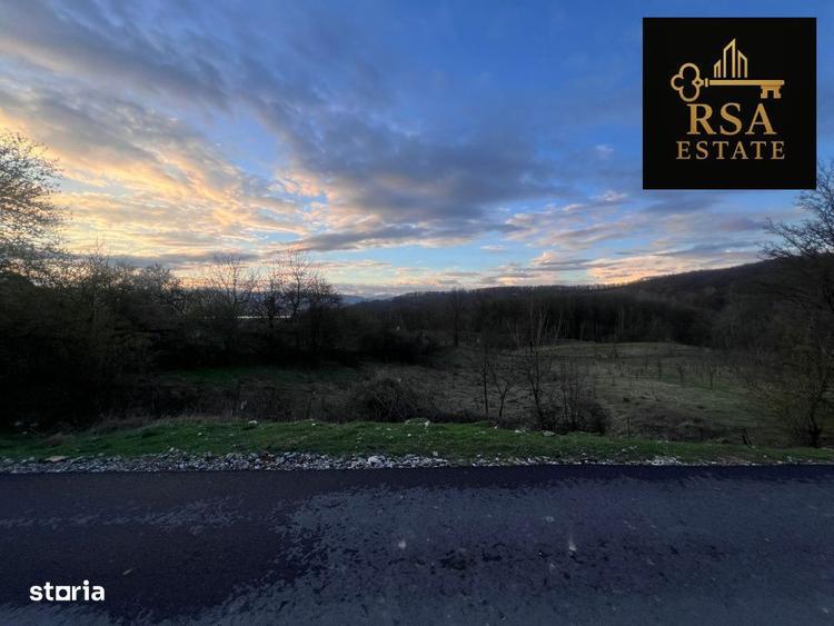 Teren de vanzare 2200 mp Goranu Izlazului Valcea, acces Feteni, prive - 4