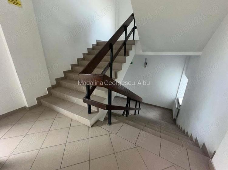 Theodor Pallady stradal birou 410 mp utili LIBER