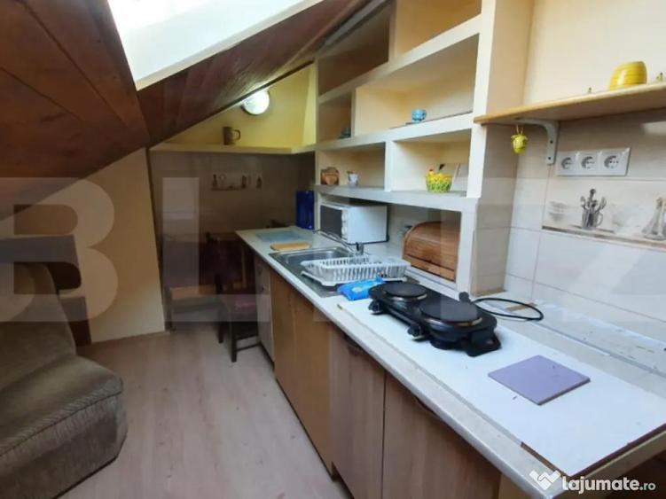 Apartament la casa,1 camera, 30 mp, zona strazii Artelor - 6