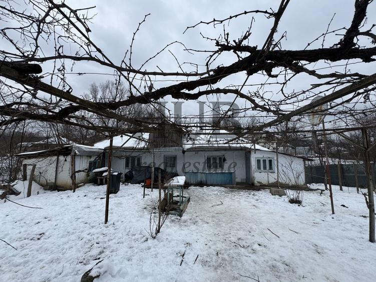 Casa batraneasca in Crihan/Magura | de vanzare - 6
