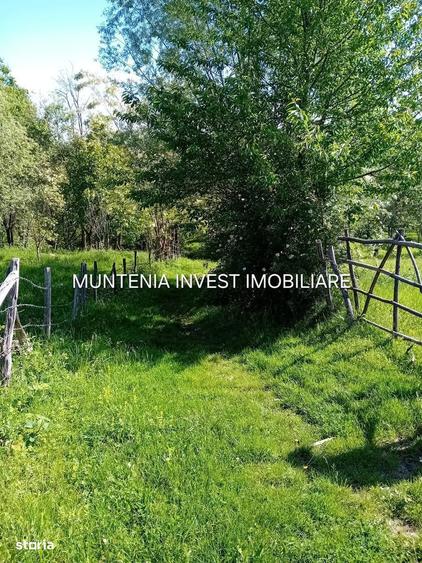 Teren 5596 mp. Com.Bradulet ,sat Galesu. - 10