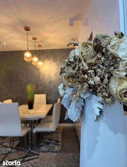 Casa moderna 167 mp + teren 7.700 mp Comuna Ineu, - 8