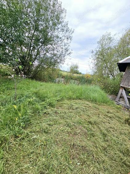 Vand casa+teren, zona Cicarlau, pret usor negociabil! - 12