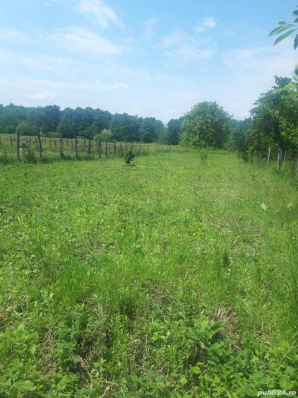 Casa si Teren De Vanzare In Comuna Stanesti (jud.Gorj) - 6