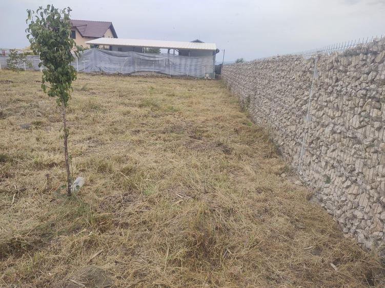 Vand pamant pentru casa - 6