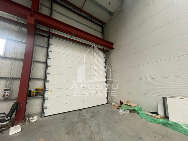 Hala 600 mp constructie noua, de inchiriat,  Sacalaz - 2