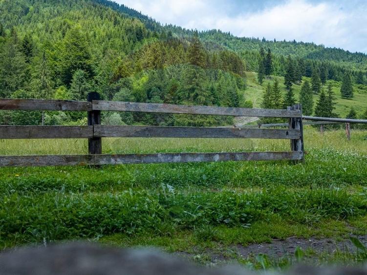 Ferma de vanzare, teren 21436 mp intravilan, Cosnea, Agas - 12