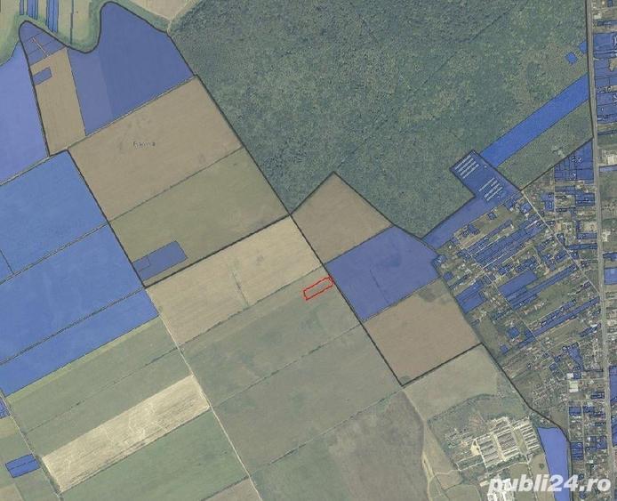 VANZARE TEREN COM BALOTESTI, SAT SAFTICA - 4