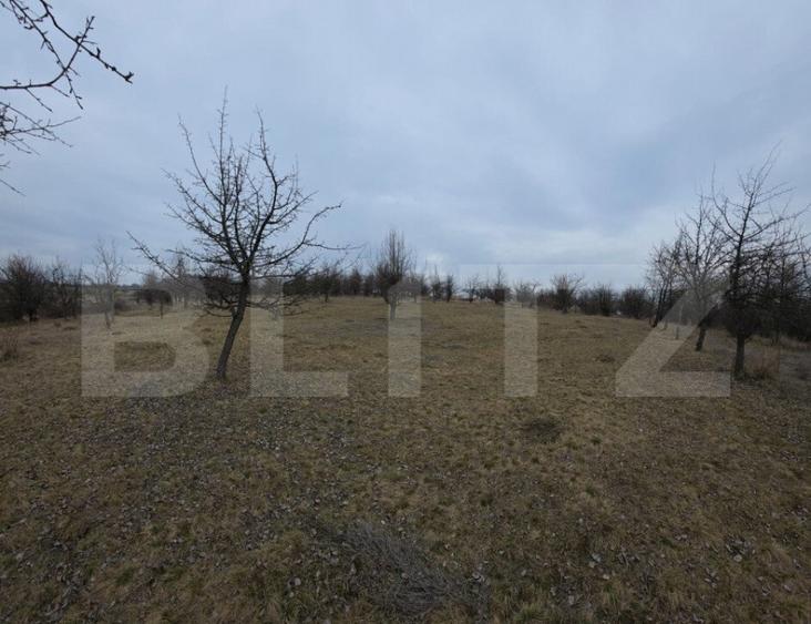 Teren extravilan de vanzare, 900 mp, Bistrita - 6